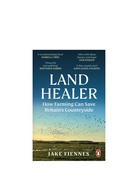 Books Land Healer (pb)