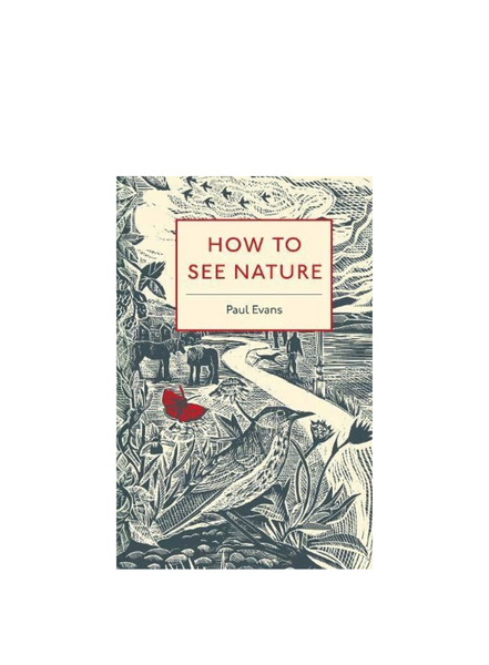 Books How To See Nature (pb)