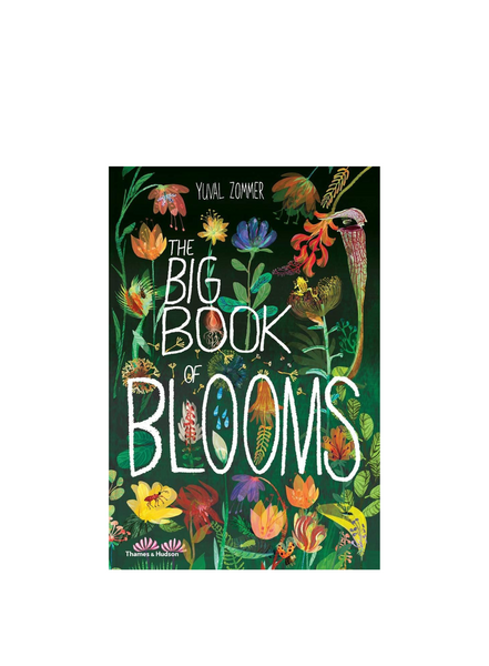 Books Big Book Of Blooms