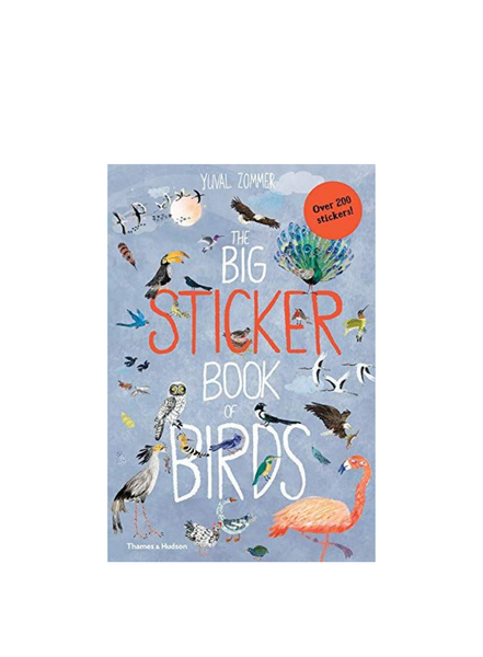 Big Sticker Book Of Birds