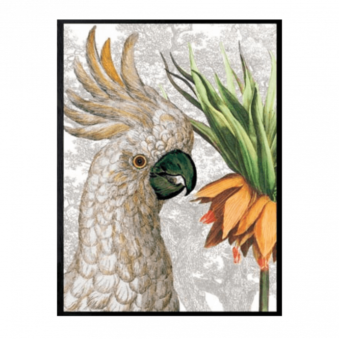 Parrot Fritillaria Print