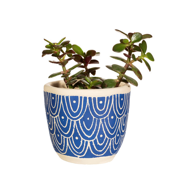 Blue Wave Cement Planter