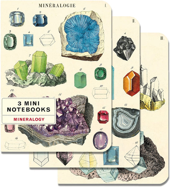 Mineralogy Mini Notebook Set