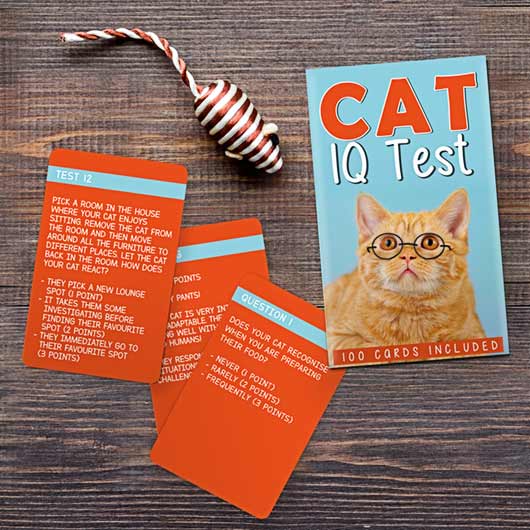 Cat IQ Test Book