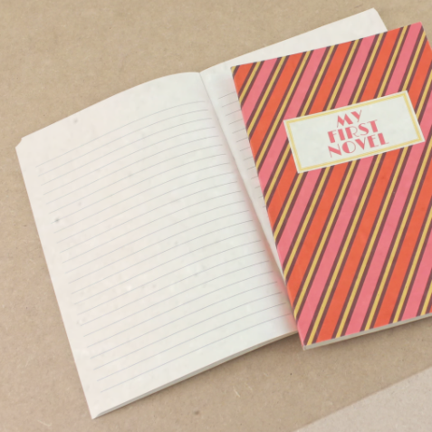 'my First Novel' Notebook