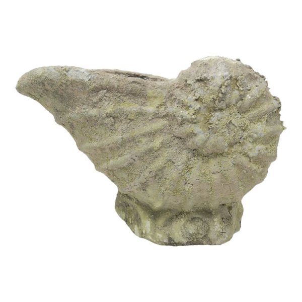 Casa Verde Shell Garden Ornament