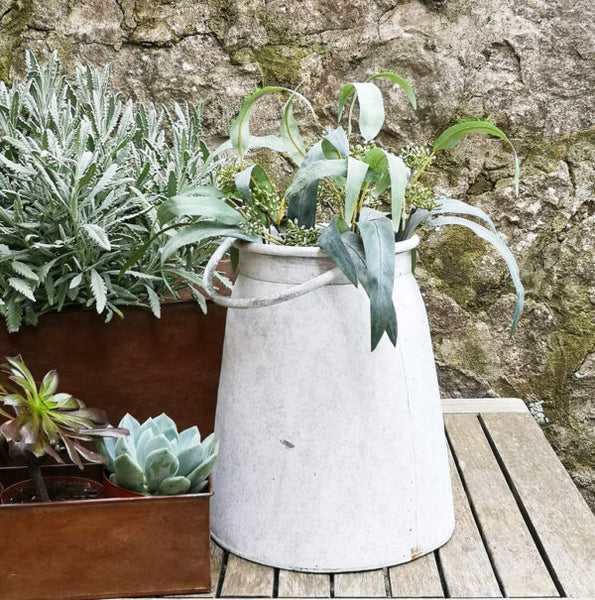 Milk Churn Planter