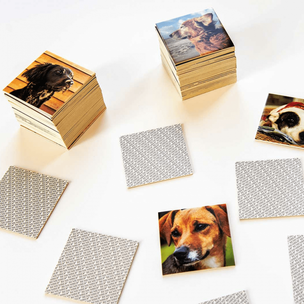Remember Remember Family Games Matching Pairs Pelmanism Memory Game Dogs In A Gift Box