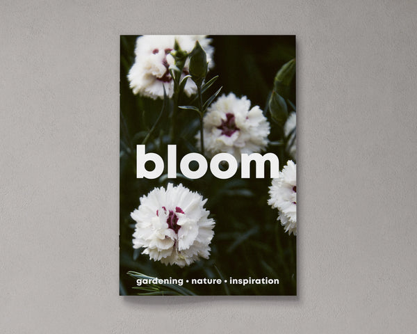 Bloom Issue:14 Spring/summer 23