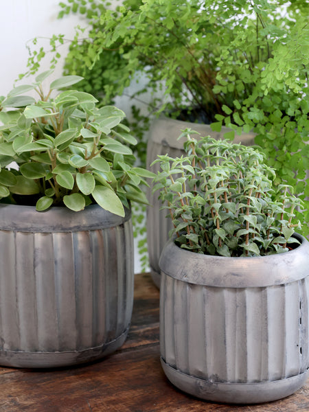 Medium Antique Zinc Planter With Grooves