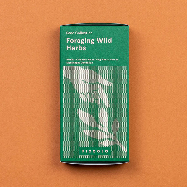 piccolo-foraging-wild-herbs-seed-collection