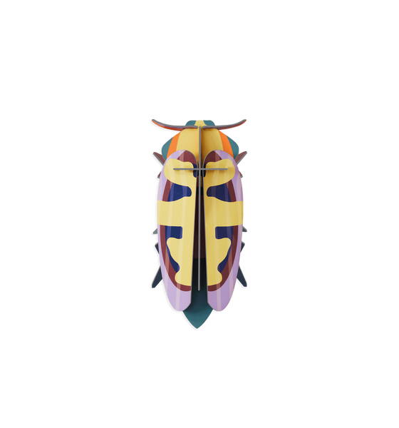 Mango Flower Beetle