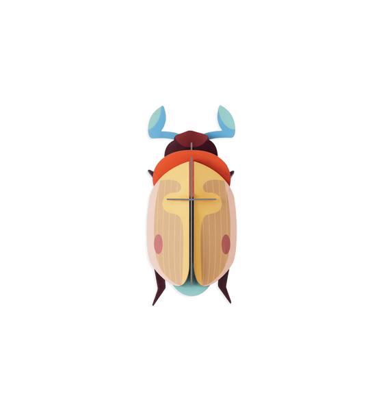 Lemon Fruit Beetle