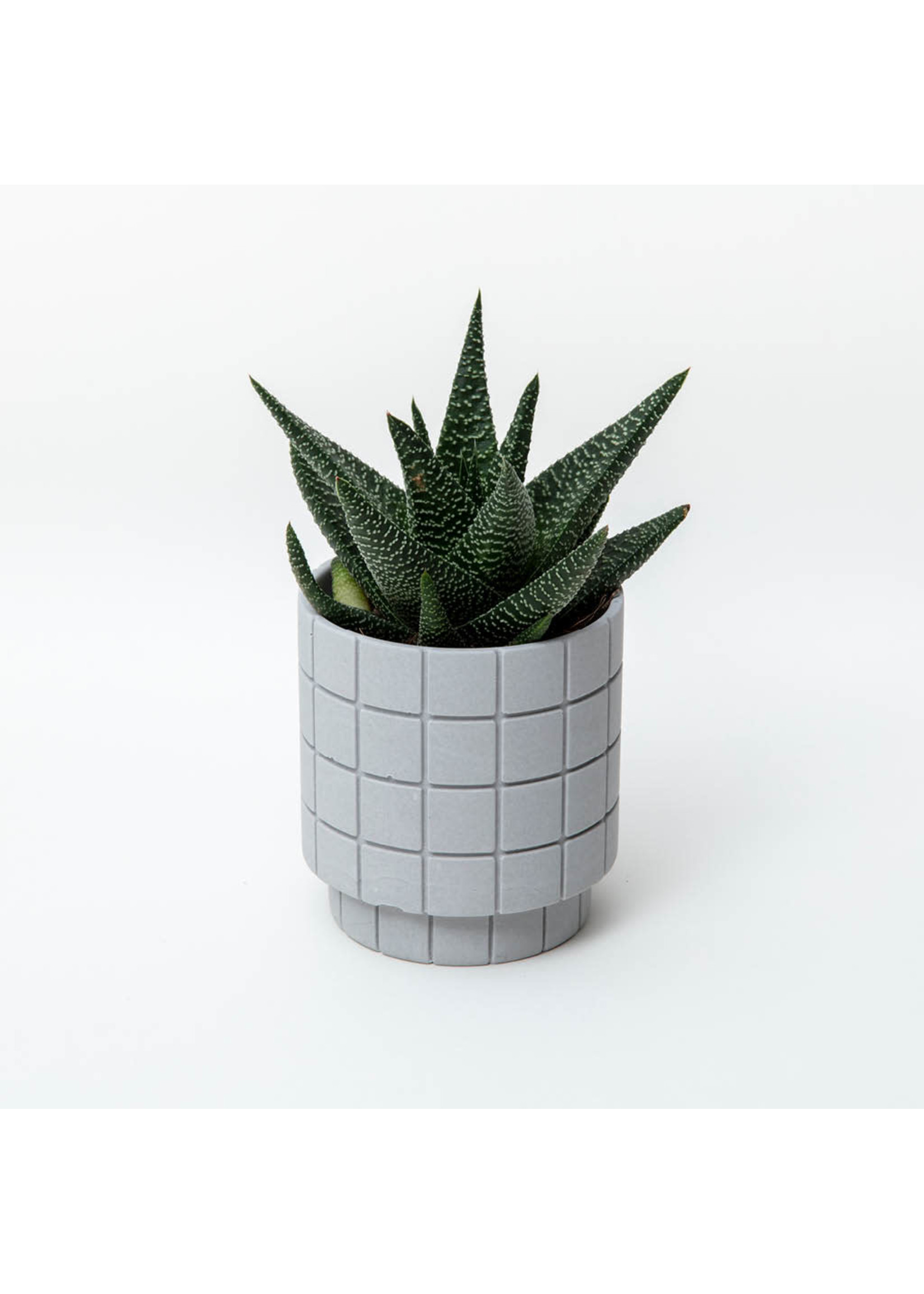 trouva.com | Tile Plant Pot - Ash Grey