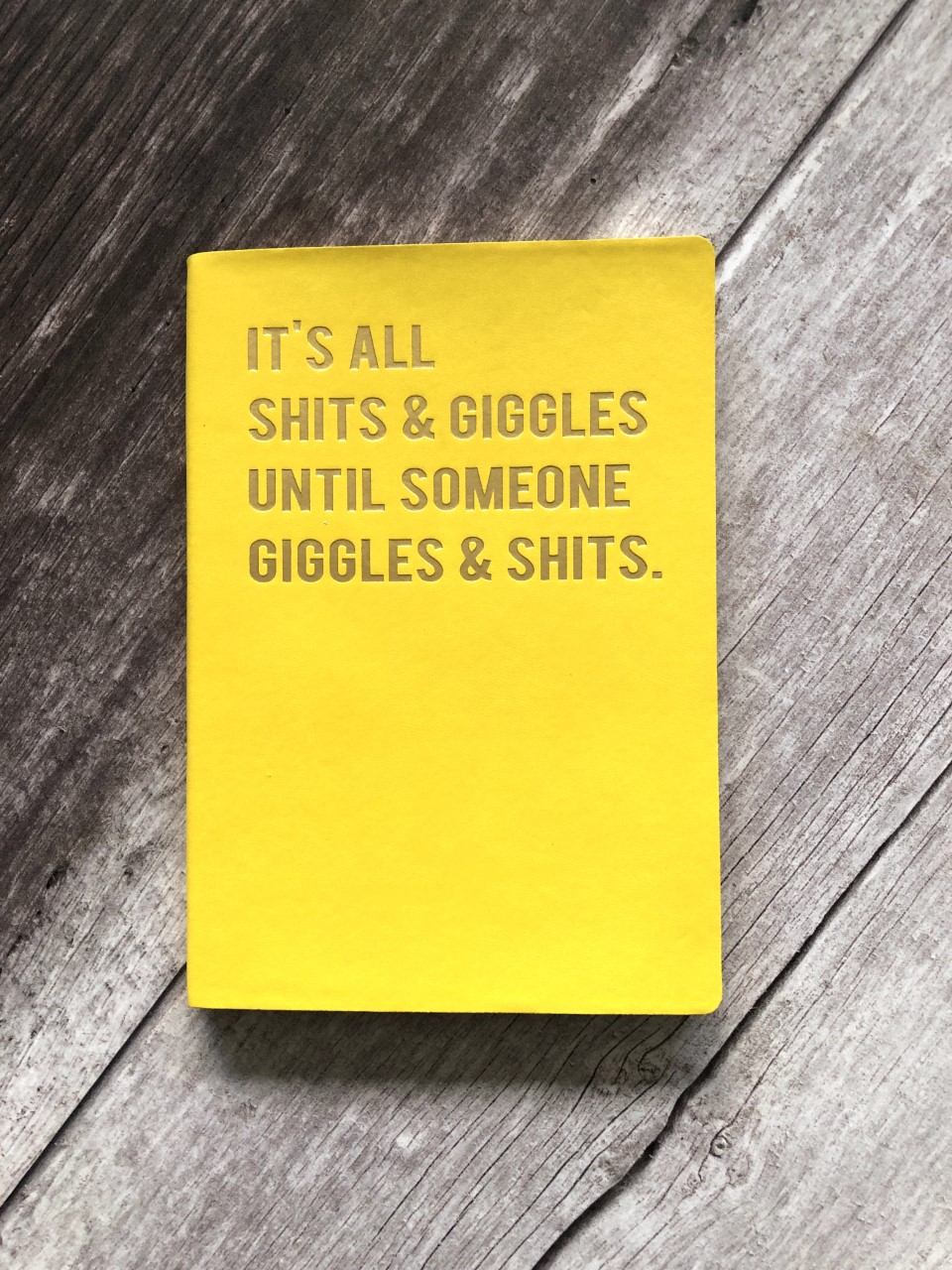 Humorous Cloud Nine A5 Lined Notebook - It's All Shits & Giggles