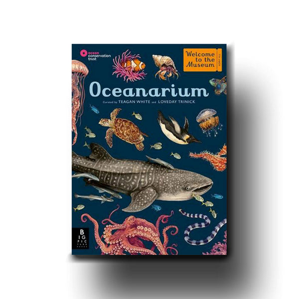 Oceanarium Boxed Postcard Set