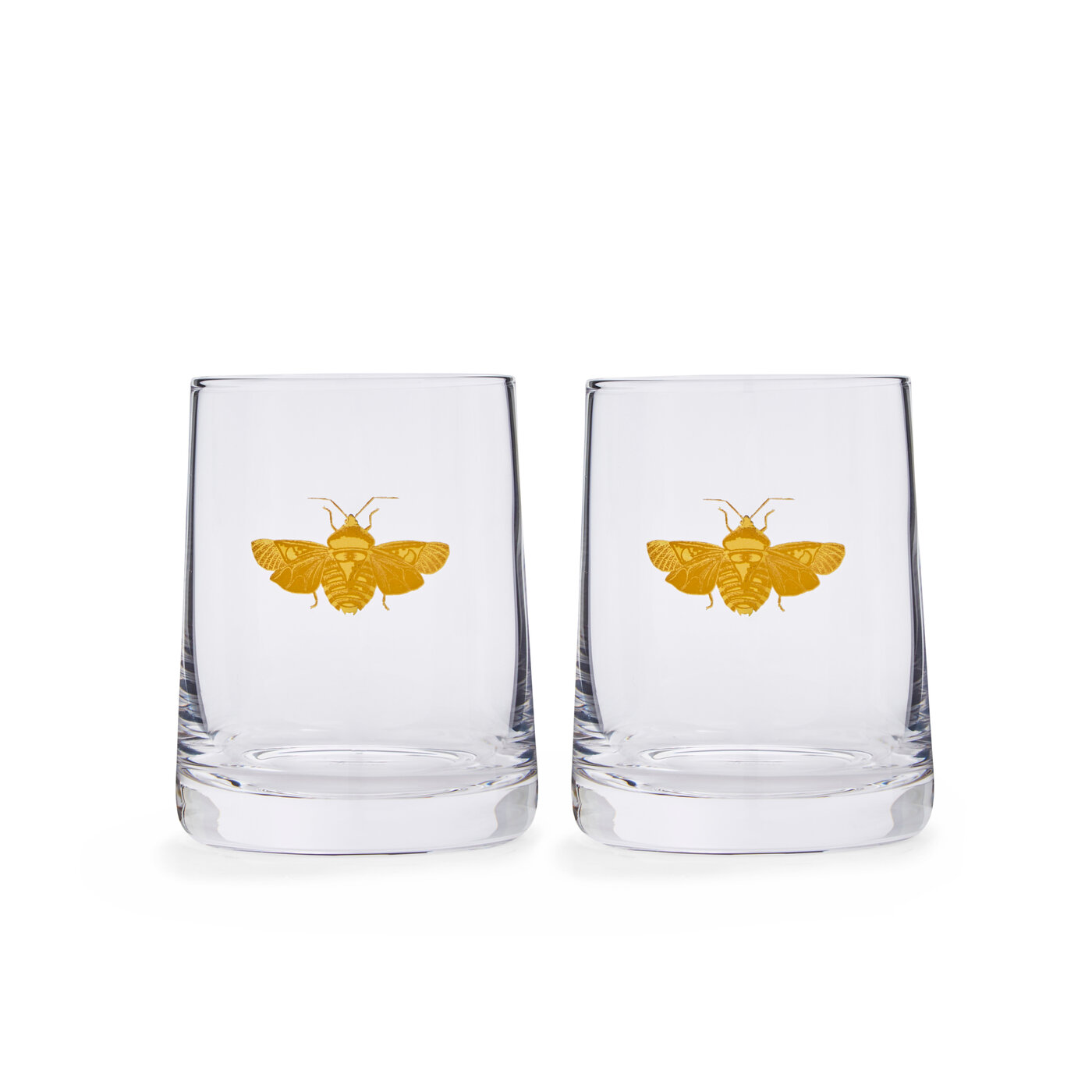 Creatures of Curiosity Glass Tumbler Set of 2