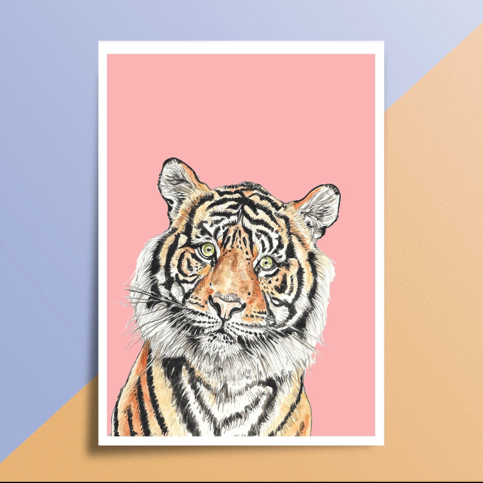 Pink 'curious Tiger' Print - A4