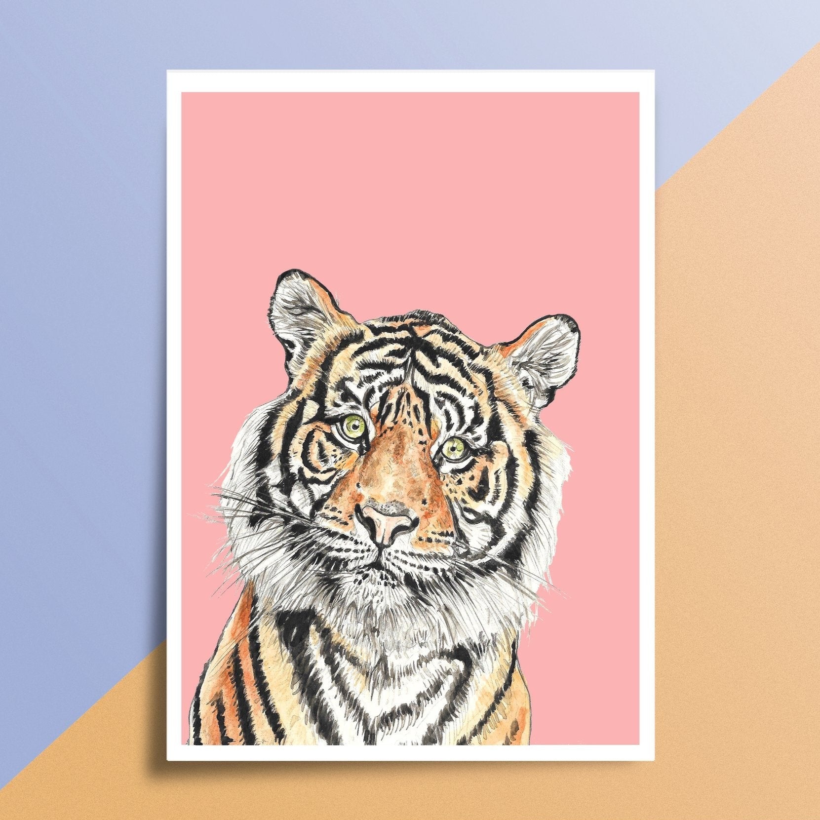 Pink 'curious Tiger' Print - A5