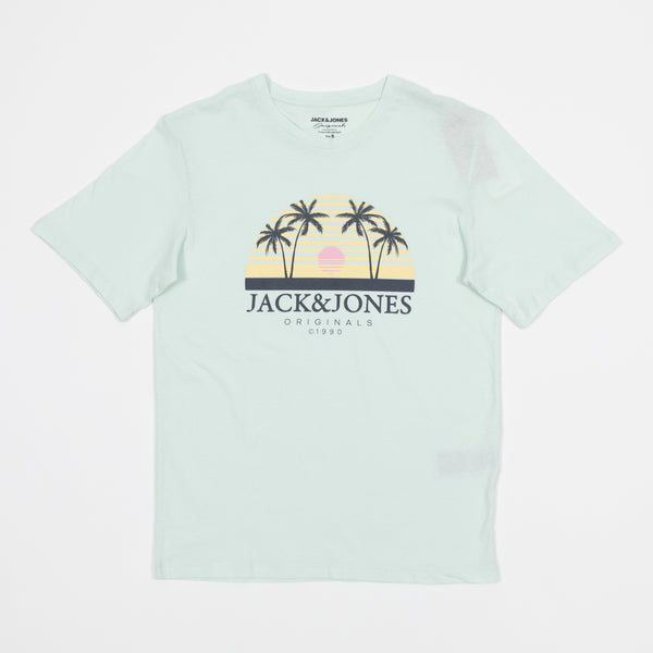 Summer Short-sleeved Graphic T-shirt In Pale Blue