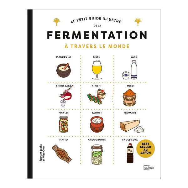 Hachette Pratique Livre Le Petit Guide Illustré De La Fermentation