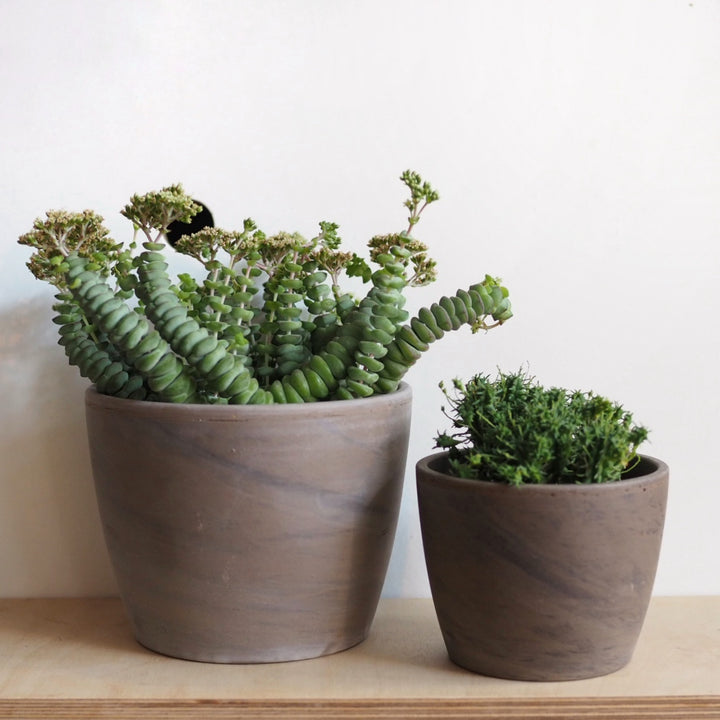 Hi Cacti 12cm Marbled Terracotta Plant Pots (No Plant)