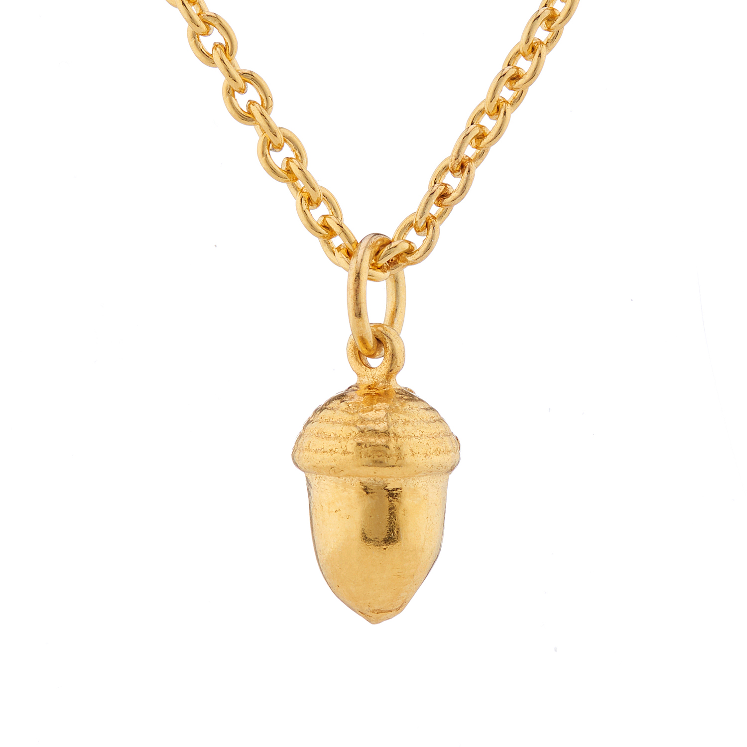 CollardManson Gold Plated Acorn Necklace 