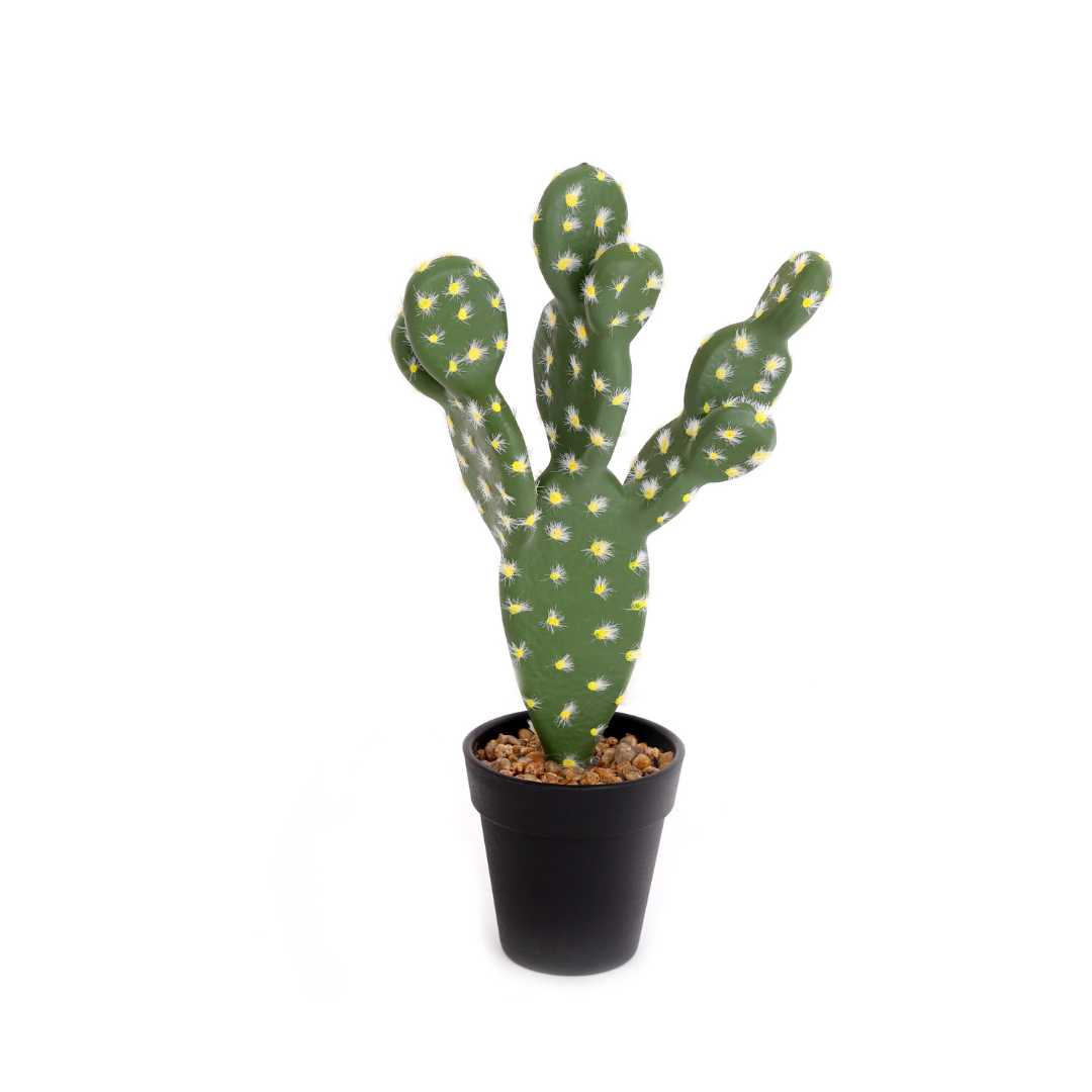 Trouva: Cactus finto a foglia piatta in vaso