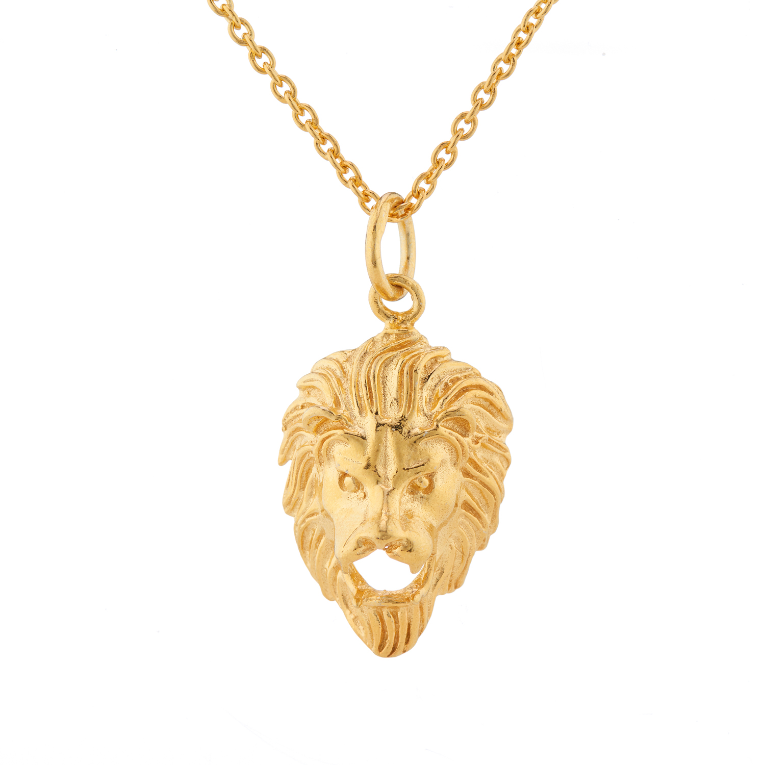 Window Dressing The Soul Gold Plated 925 Silver Lion Necklace