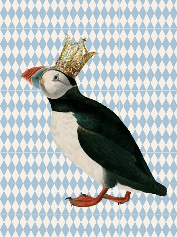 Vanilla Fly Print King Puffin 30x40cm