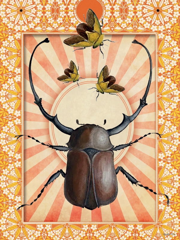 Vanilla Fly Indian Beetle Print 30x40cm