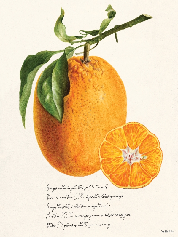 vanilla-fly-oranges-print-30x40cm