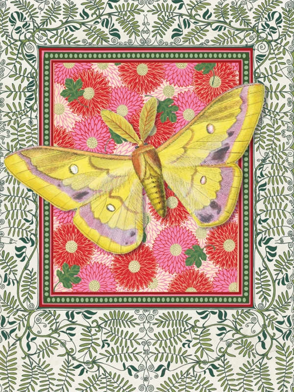 Vanilla Fly Indian Butterfly Print 30x40cm