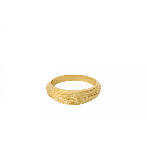 pernille-corydon-coastline-ring-in-gold