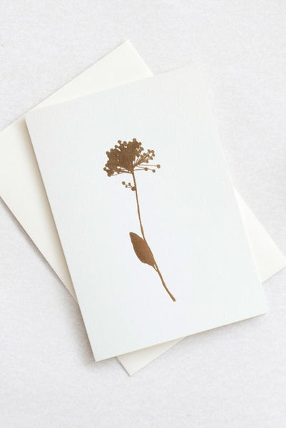 Ola Allium Card