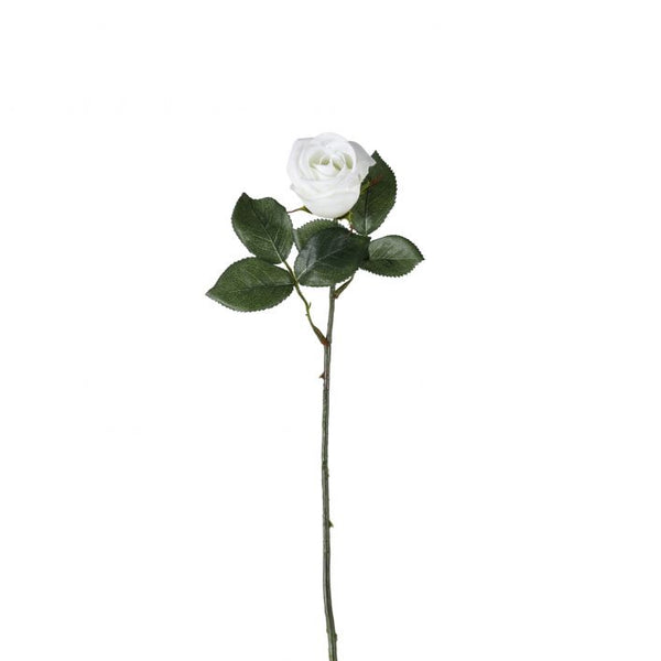 Distinctly Living White Rose Flower Stem