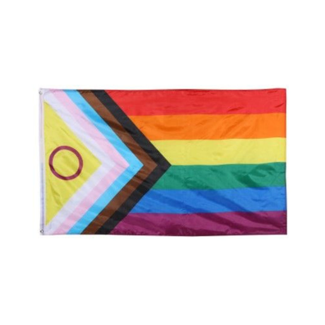 &Quirky Large Rainbow Pride New Progress Flag