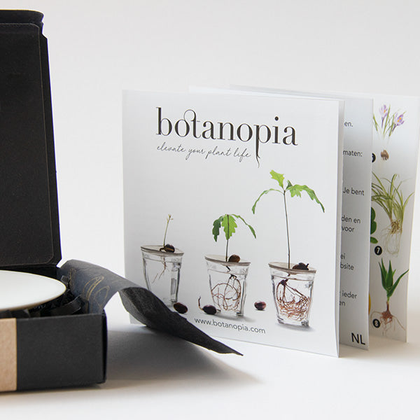 Cyanotype Kit – DIY kit to make your own blueprints - Botanopia