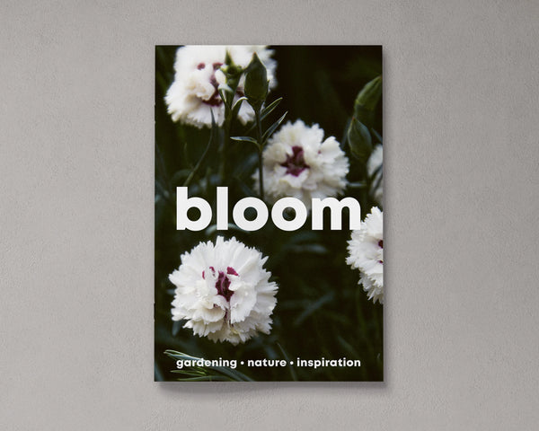 Bloom Issue 14 Spring/summer 2023
