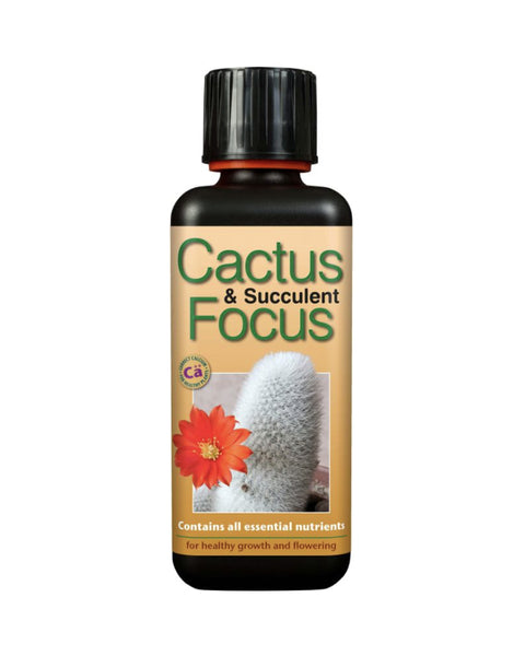 House plant Focus Cactus and Succulent Focus 300ml