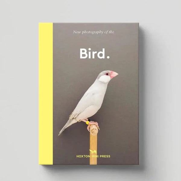 Books New Photography Of The Bird