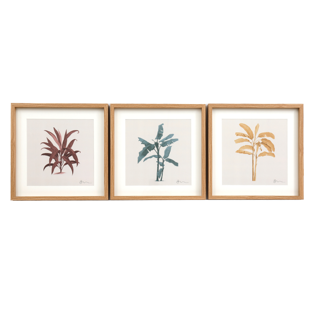 Temerity Jones Tropical Palm Leaf Framed Art Print : Red, Blue or Yellow