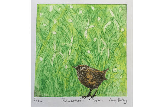 Lindy Furby Ransomes : Wren Collagraph Print