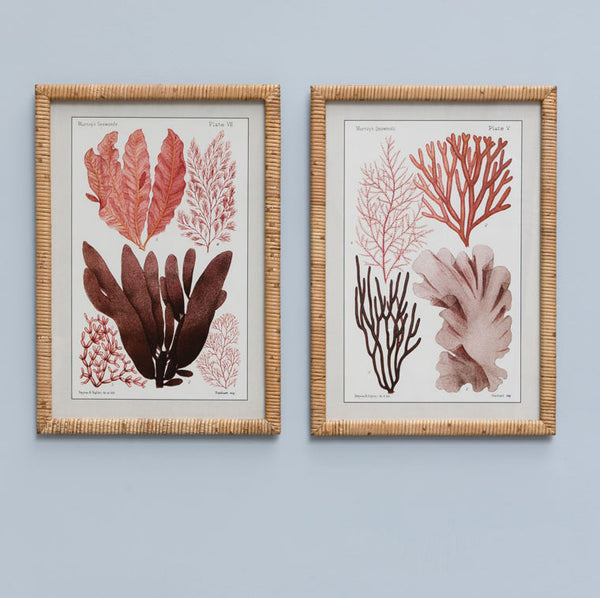 Distinctly Living Rattan Framed Seaweed Picture