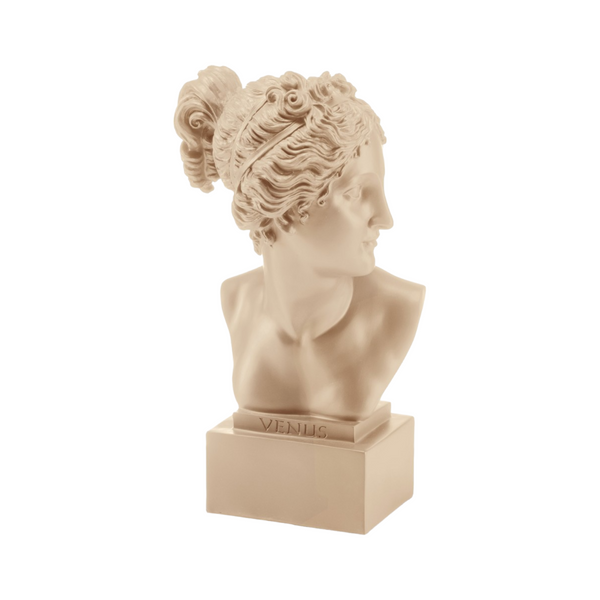 Palais Royal Busto Taupe Venus 18 Art 37487 