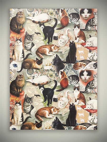 Bomo Art Budapest Kft Papel Envoltorio 'the Nine Lives Of Cats' - 100x70 Cm