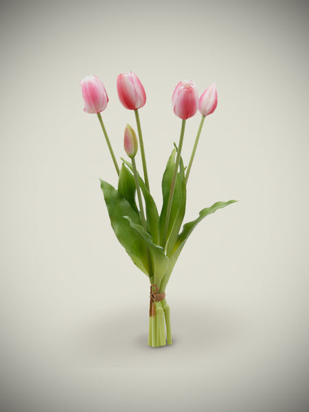 EDG Enzo De Gasperi Ramo De 5 Tulipanes Rosas Y Blancos 'brigitte'