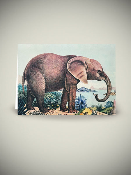 Museums & Galleries Tarjeta 'the African Elephant' - Aloys Zötl