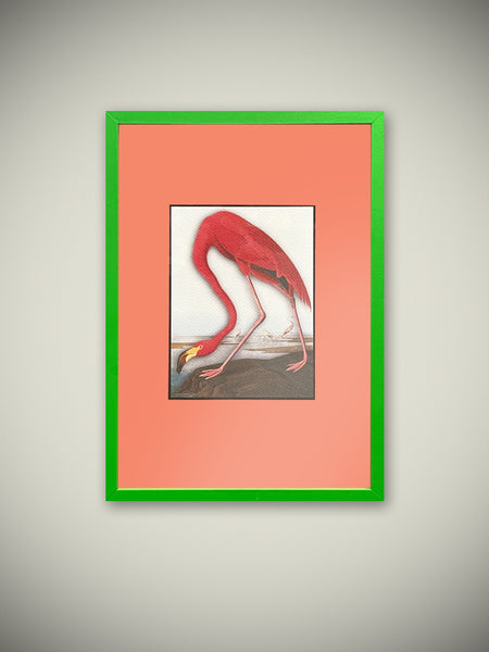 Tartan and Zebra Cuadro Decorativo 'flamingo' - 31,5x23 Cm