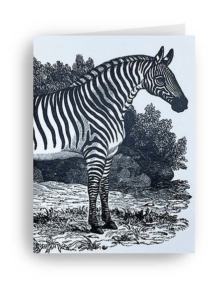 Museums & Galleries Tarjeta 'zebra' - Thomas Bewick, Tate Gallery